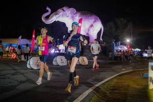 BIB: 
                            <button type="button" onclick="openModal(26552004)" class="btn btn-primary btn-sm float-right btn-popup" data-toggle="modal" data-target=".modal-high-quality">
                        <i class="fas fa-shopping-cart"></i> Add to Cart
                    </button>
                                            <button type="button" onclick="isThisMe(26552004, true)" class="btn btn-success btn-sm float-right btn-popup btn-isme hidden" data-toggle="tooltip" data-placement="bottom" title="นี่คือรูปของคุณใช่ไหม คลิกที่นี่เพื่อเอาเข้าอัลบั้ม">
                        <i class="fas fa-plus"></i> Add to album
                    </button>
                    <button type="button" onclick="isThisMe(26552004, false)" class="btn btn-warning btn-sm float-right btn-popup btn-isnotme hidden">
                        <i class="fas fa-ban"></i> Remove from album
                    </button>